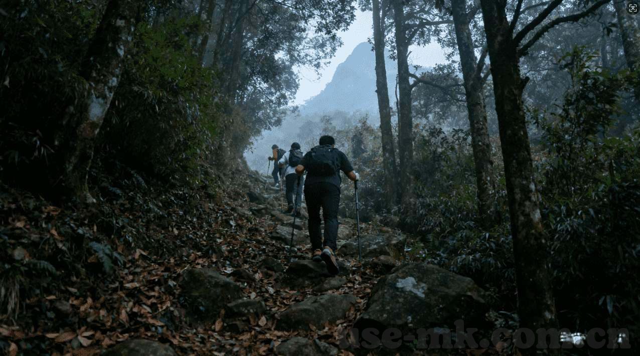 哪个网站可以投注世界杯-世界杯投注网站推荐，安全、便捷的选择